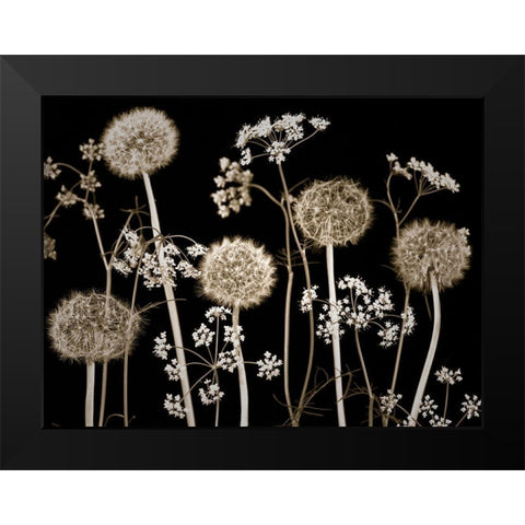 Meadow flowers Black Modern Wood Framed Art Print by Frank, Assaf