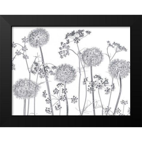 Meadow flowers Black Modern Wood Framed Art Print by Frank, Assaf