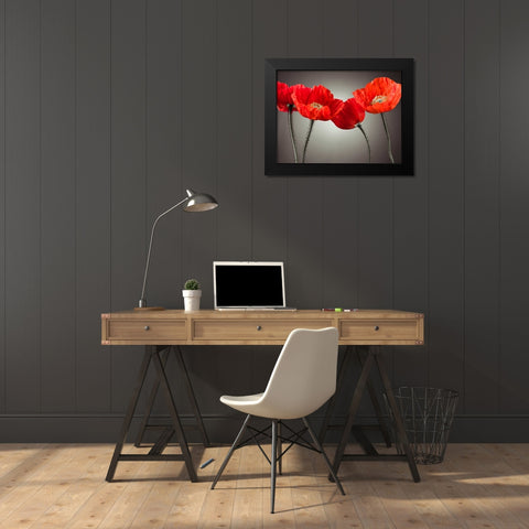 Four Poppies Black Modern Wood Framed Art Print by Frank, Assaf