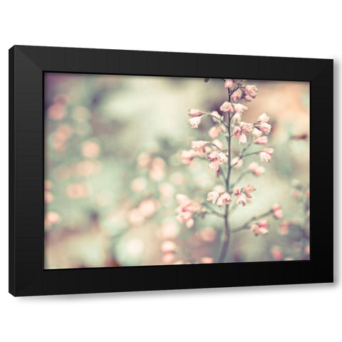 Flowering Heuchera Black Modern Wood Framed Art Print by Frank, Assaf