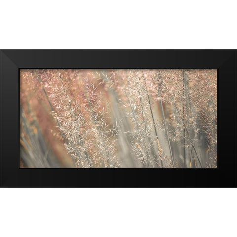 Fountain grass Black Modern Wood Framed Art Print by Frank, Assaf