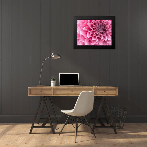 Dahlia flower - Full frame Black Modern Wood Framed Art Print by Frank, Assaf