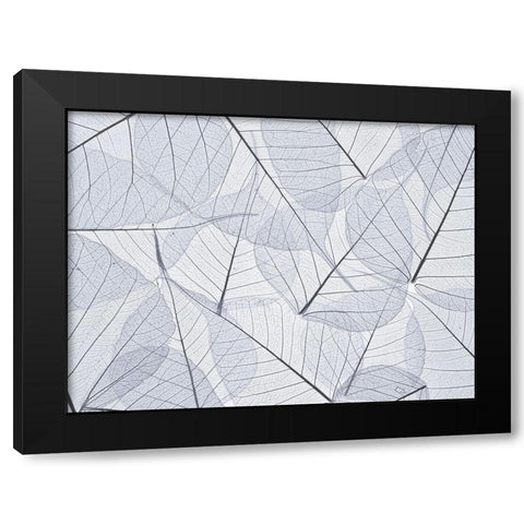 Skeleton leaves Black Modern Wood Framed Art Print by Frank, Assaf