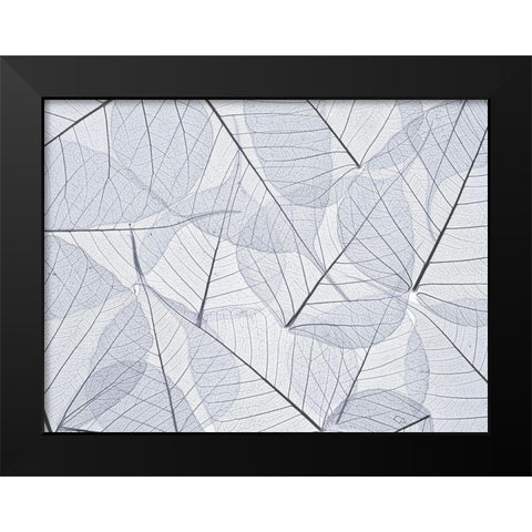 Skeleton leaves Black Modern Wood Framed Art Print by Frank, Assaf