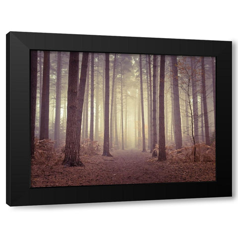 Misty trees Black Modern Wood Framed Art Print by Frank, Assaf