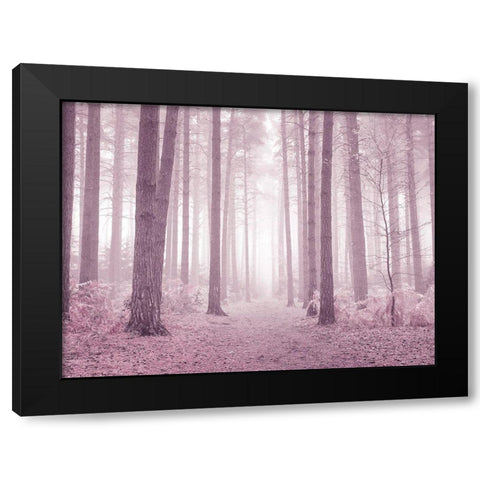 Misty trees in pink Black Modern Wood Framed Art Print by Frank, Assaf