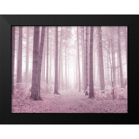 Misty trees in pink Black Modern Wood Framed Art Print by Frank, Assaf