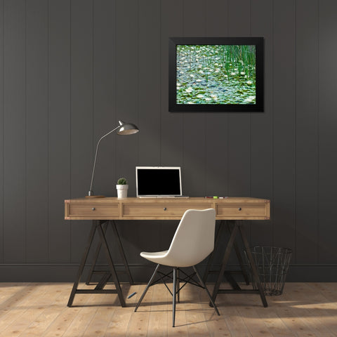 Water Lilies Black Modern Wood Framed Art Print by Frank, Assaf