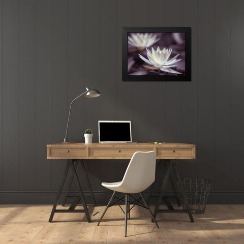 Water Lilies Black Modern Wood Framed Art Print by Frank, Assaf