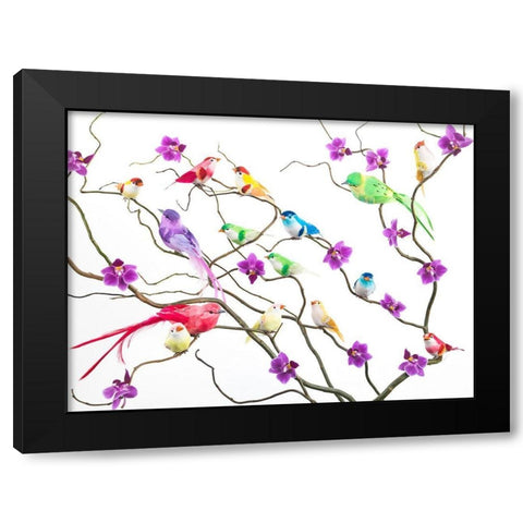 Fake birds on branches Black Modern Wood Framed Art Print by Frank, Assaf