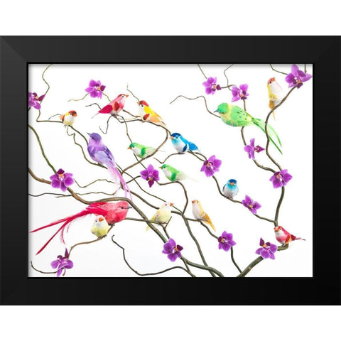 Fake birds on branches Black Modern Wood Framed Art Print by Frank, Assaf