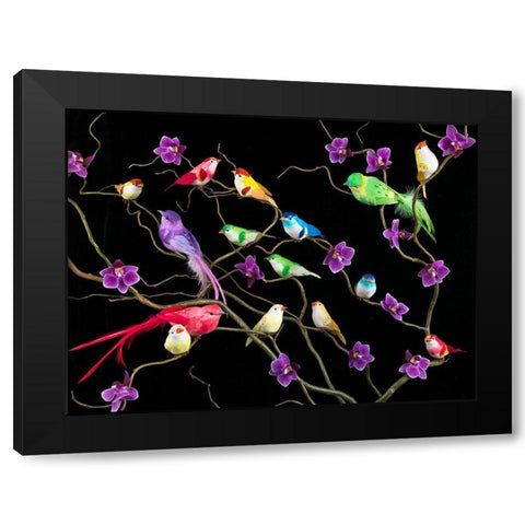 Fake birds on branches Black Modern Wood Framed Art Print by Frank, Assaf