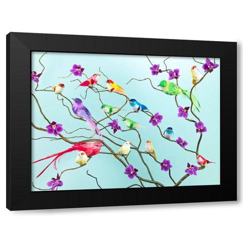 Fake birds on branches Black Modern Wood Framed Art Print with Double Matting by Frank, Assaf