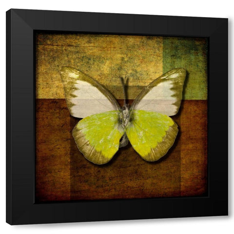 Handwritten old postcard with butterfly Black Modern Wood Framed Art Print with Double Matting by Frank, Assaf