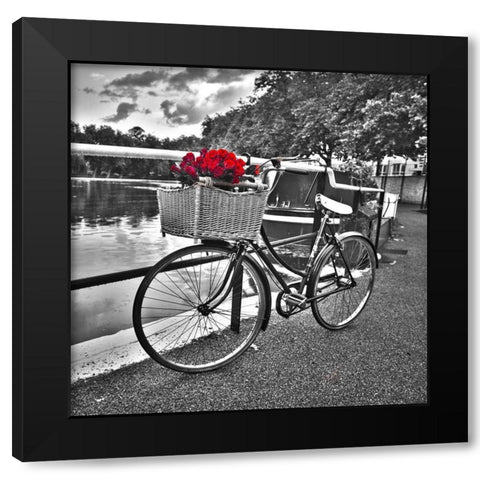 Bicycles with flowers Black Modern Wood Framed Art Print with Double Matting by Frank, Assaf