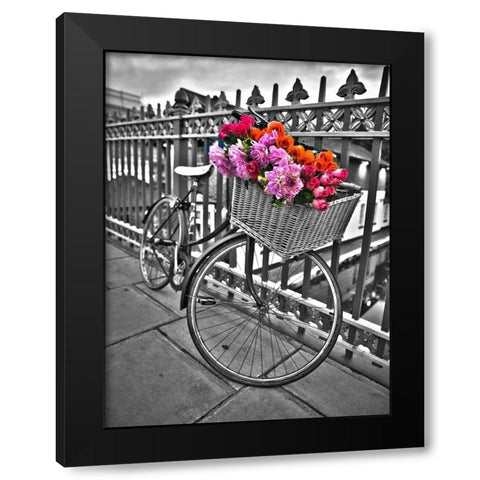 Bicycles with flowers Black Modern Wood Framed Art Print with Double Matting by Frank, Assaf