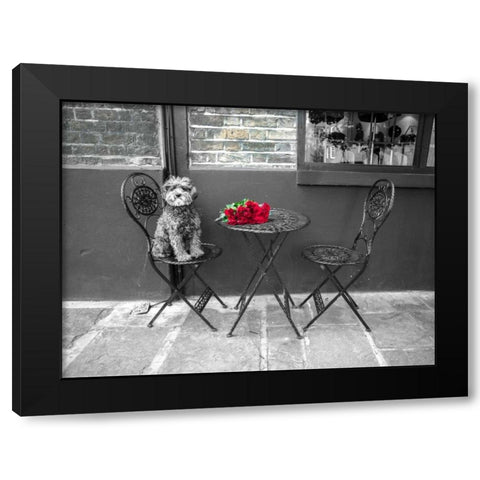 Dog Sitting on a chair with a banch of roses on a table Black Modern Wood Framed Art Print by Frank, Assaf