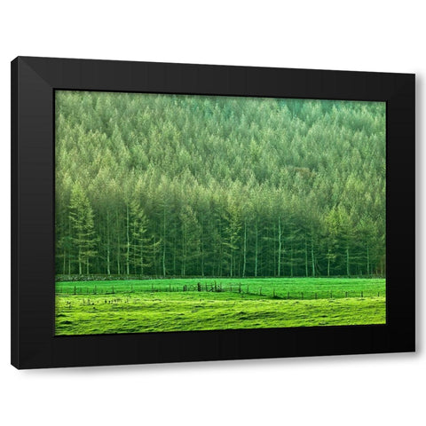 Forest edge Black Modern Wood Framed Art Print by Frank, Assaf