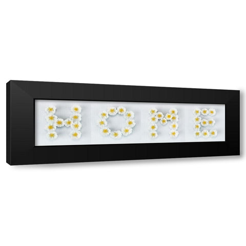 The word Home written in white Roses, FTBR-1915 Black Modern Wood Framed Art Print with Double Matting by Frank, Assaf