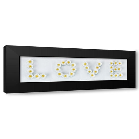 Word Love written in white Roses, FTBR-1916 Black Modern Wood Framed Art Print by Frank, Assaf