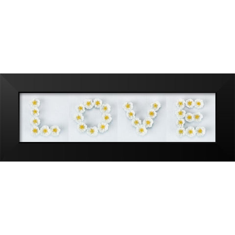 Word Love written in white Roses, FTBR-1916 Black Modern Wood Framed Art Print by Frank, Assaf