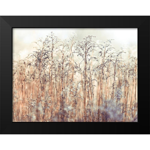 Grass Reeds Black Modern Wood Framed Art Print by Frank, Assaf