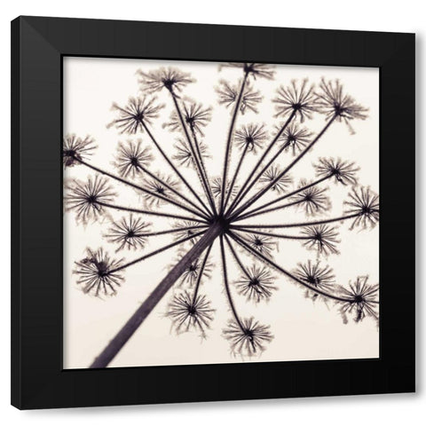 Frosty autumn leaves Black Modern Wood Framed Art Print by Frank, Assaf