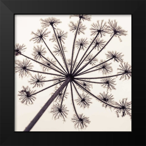 Frosty autumn leaves Black Modern Wood Framed Art Print by Frank, Assaf