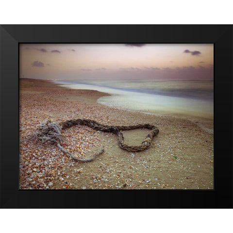 Rope lying on beach Black Modern Wood Framed Art Print by Frank, Assaf