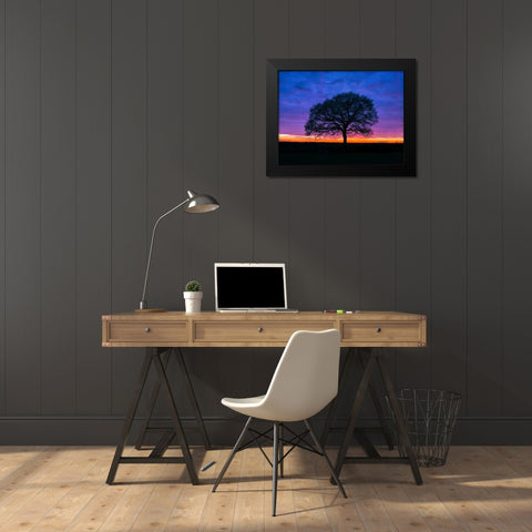 Silhouette of a tree against coloured skies Black Modern Wood Framed Art Print by Frank, Assaf