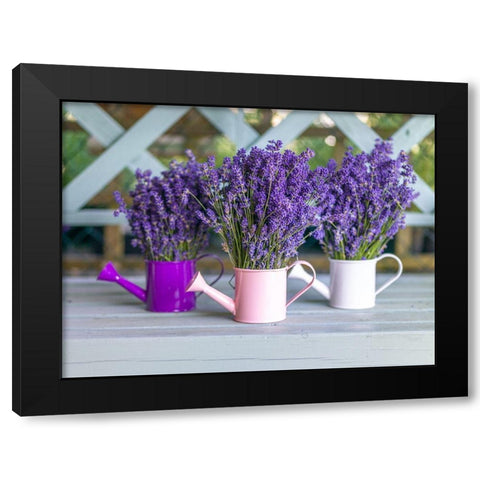 Watering cans with Lavender flowers Black Modern Wood Framed Art Print by Frank, Assaf