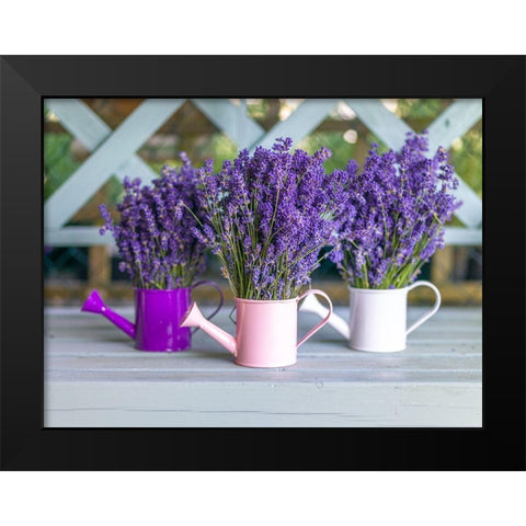Watering cans with Lavender flowers Black Modern Wood Framed Art Print by Frank, Assaf