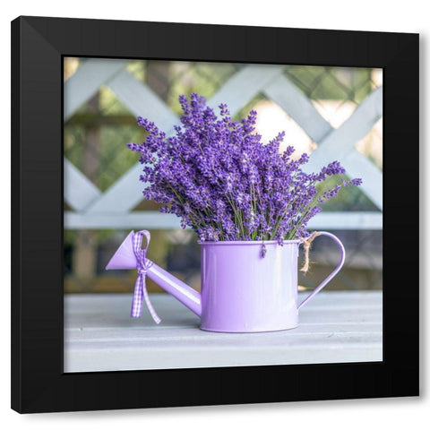 Watering can with Lavender flowers Black Modern Wood Framed Art Print with Double Matting by Frank, Assaf