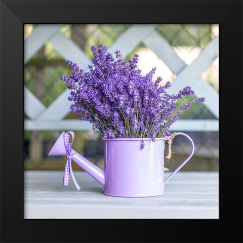 Watering can with Lavender flowers Black Modern Wood Framed Art Print by Frank, Assaf