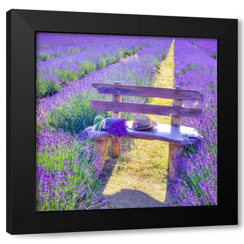 Bench in Lavender field Black Modern Wood Framed Art Print by Frank, Assaf