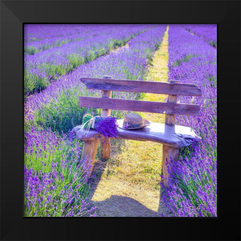 Bench in Lavender field Black Modern Wood Framed Art Print by Frank, Assaf