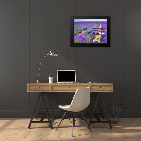 Bench in Lavender field Black Modern Wood Framed Art Print by Frank, Assaf