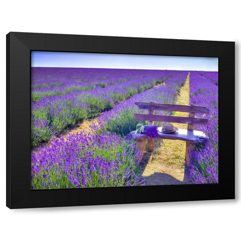 Bench in Lavender field Black Modern Wood Framed Art Print by Frank, Assaf