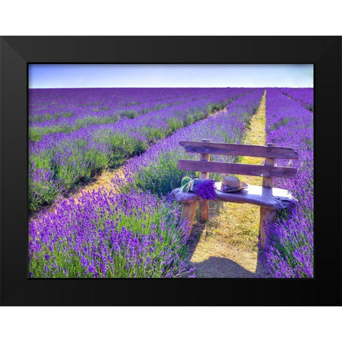Bench in Lavender field Black Modern Wood Framed Art Print by Frank, Assaf