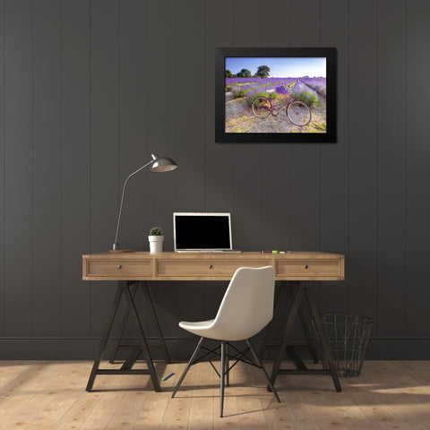 Bicycle with flowers in a Lavender field Black Modern Wood Framed Art Print by Frank, Assaf