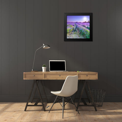 Bicycle with flowers in a Lavender field Black Modern Wood Framed Art Print by Frank, Assaf