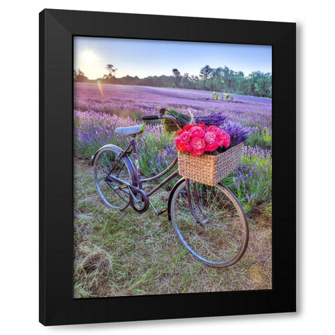 Bicycle with flowers in a Lavender field Black Modern Wood Framed Art Print by Frank, Assaf