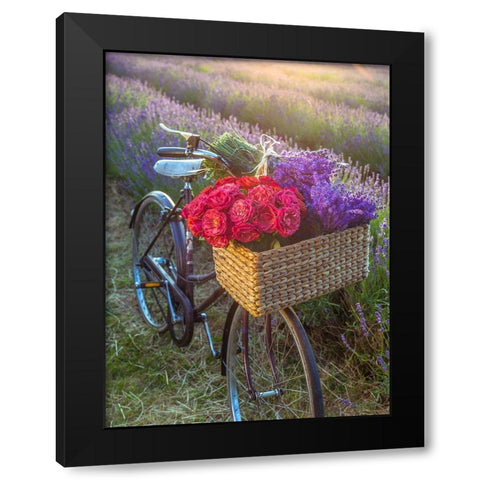 Basket of flowers on a bicycle Black Modern Wood Framed Art Print by Frank, Assaf