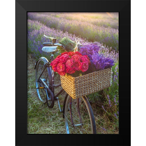 Basket of flowers on a bicycle Black Modern Wood Framed Art Print by Frank, Assaf