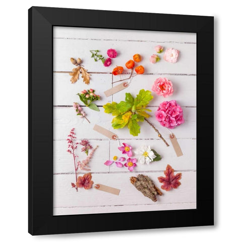 Eclectic plants on wooden background Black Modern Wood Framed Art Print by Frank, Assaf
