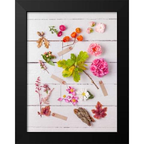 Eclectic plants on wooden background Black Modern Wood Framed Art Print by Frank, Assaf