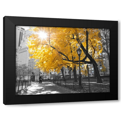 Pathway through Central park, New York City Black Modern Wood Framed Art Print with Double Matting by Frank, Assaf