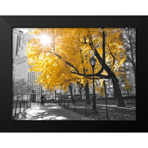 Pathway through Central park, New York City Black Modern Wood Framed Art Print by Frank, Assaf
