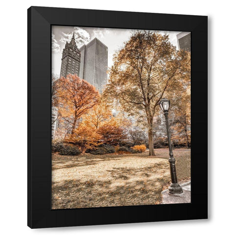 Central park in autumn-Manhattan-New York Black Modern Wood Framed Art Print with Double Matting by Frank, Assaf