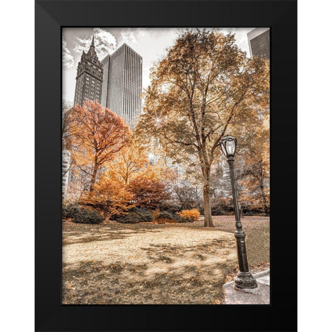 Central park in autumn-Manhattan-New York Black Modern Wood Framed Art Print by Frank, Assaf